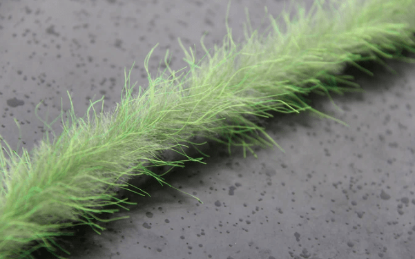 Beast Brushes Crusty Beast Brush Olive
