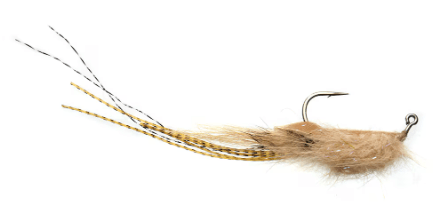 Whalley's Champagne Shrimp Olive