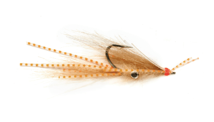 Squimp #2 / Orange