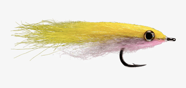 Rio&#39;s King Bay Anchovy Yellow/White
