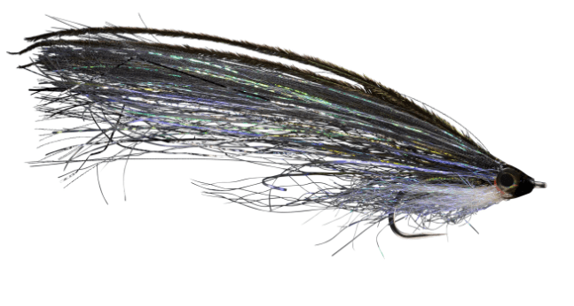 Rio's Pipe Eel Olive