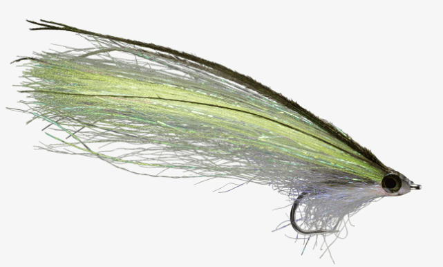 Rio's Pipe Eel Olive