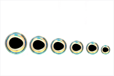 3-D Epoxy Baitfish Eyes Super Pearl / 4mm