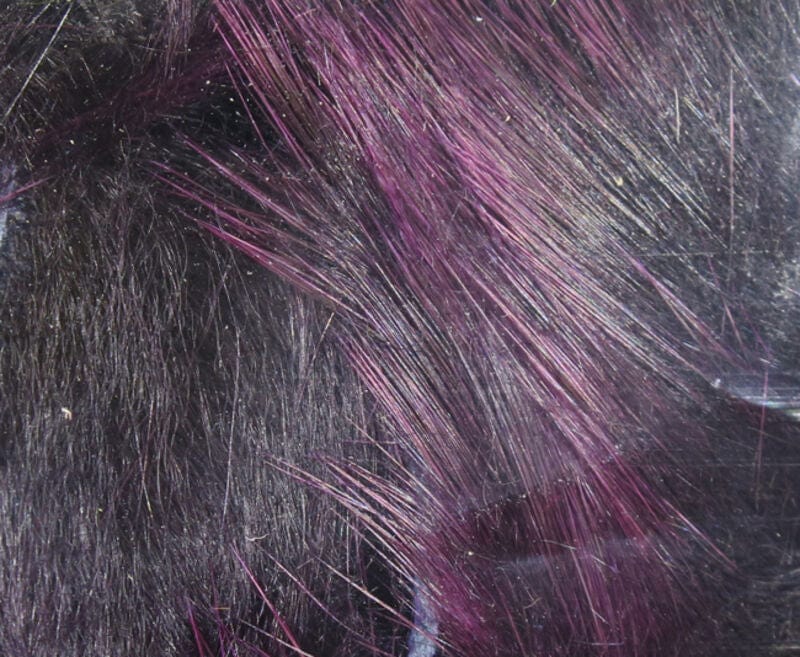 Crosscut Frostip Rabbit Strips Black/Fuchsia