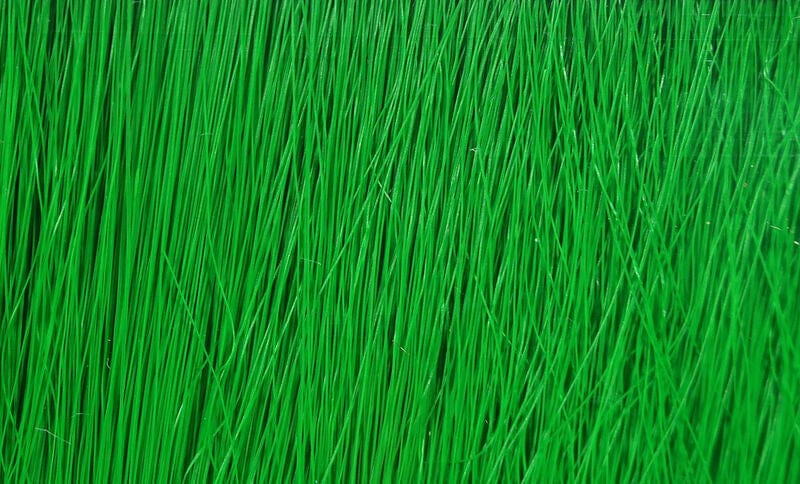 Fishair Green