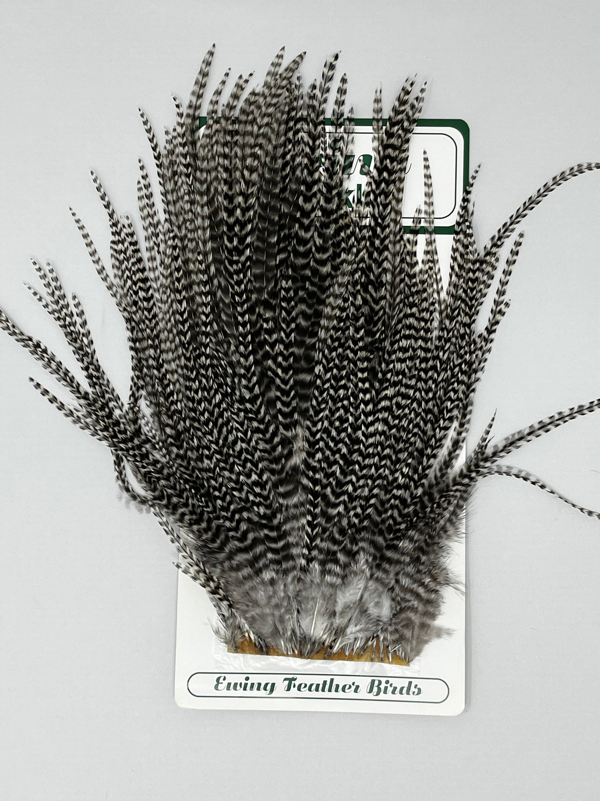 Saltwater Edge Premium Saltwater Streamer Pack