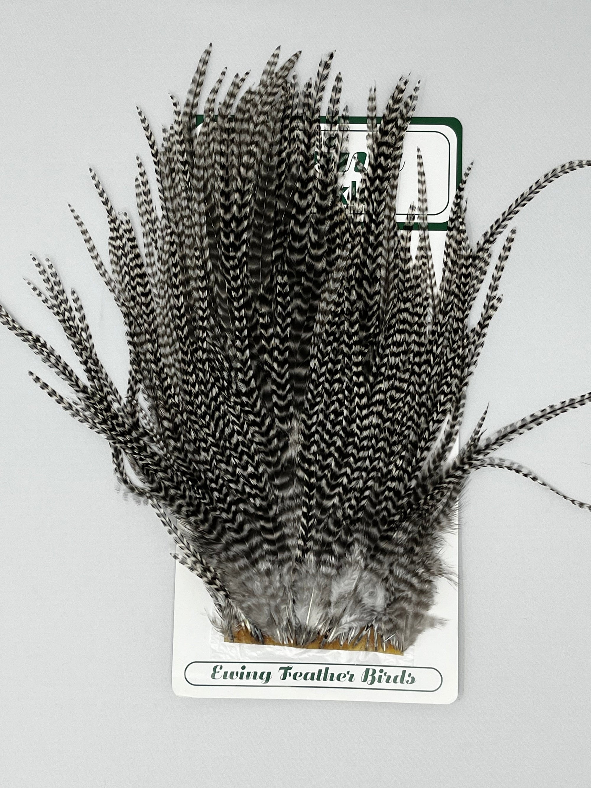 Saltwater Edge Premium Saltwater Streamer Pack