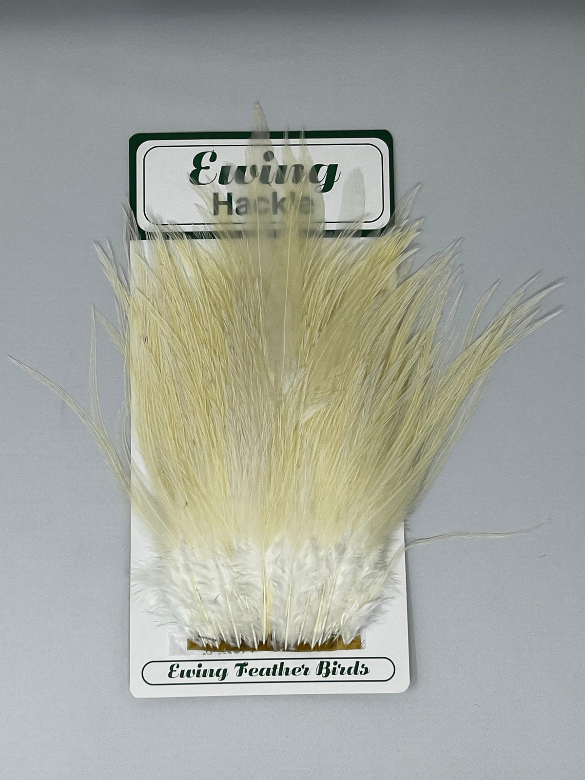 Saltwater Edge Premium Saltwater Streamer Pack