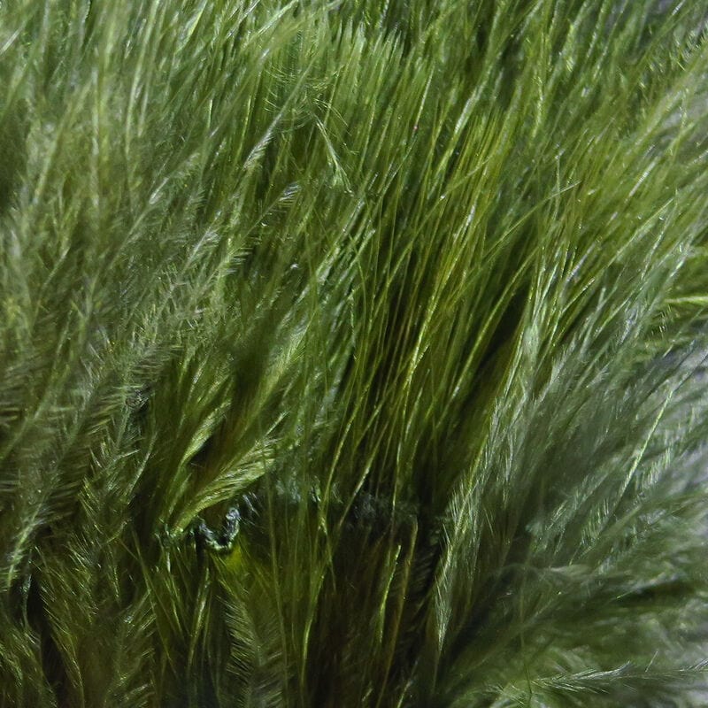 Marabou Strung Blood Quills Dark Olive