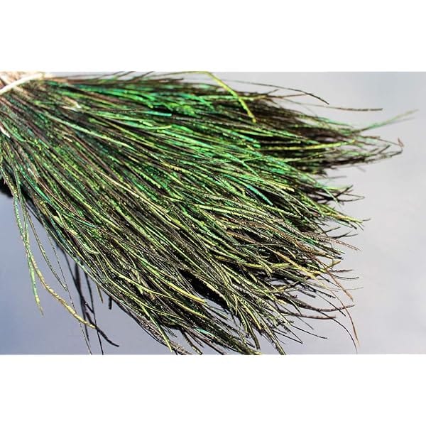Peacock Herl 5-7&quot;