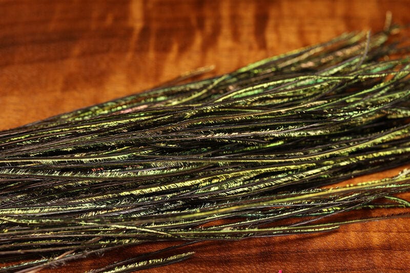 8-10" Strung Peacock Herl