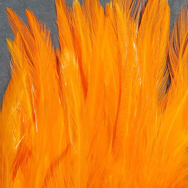 Dyed over White Strung Chinese Saddle Hackle 1/4 oz / Fire Orange