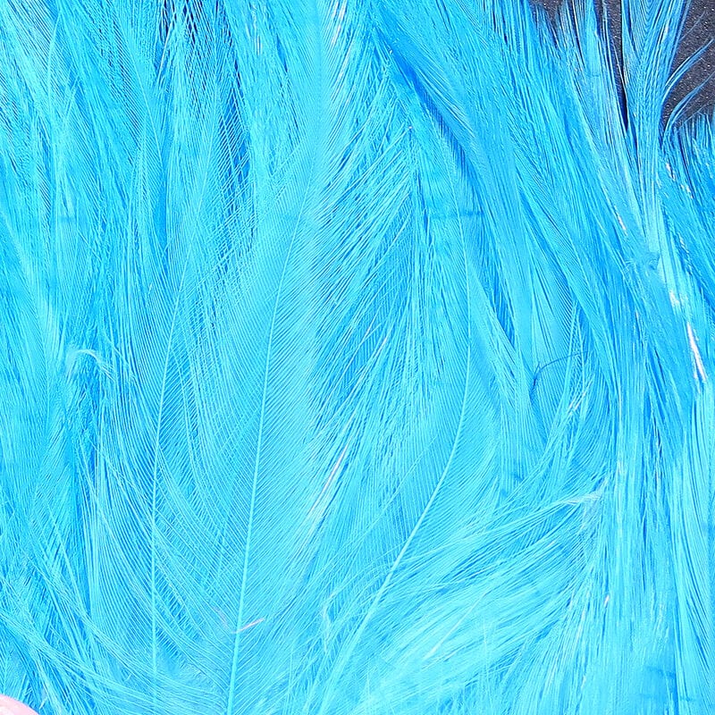 Saltwater Neck Hackle FL. Blue
