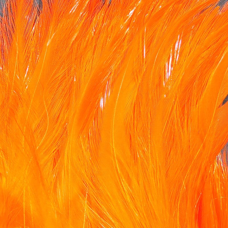 Saltwater Neck Hackle Hot Orange