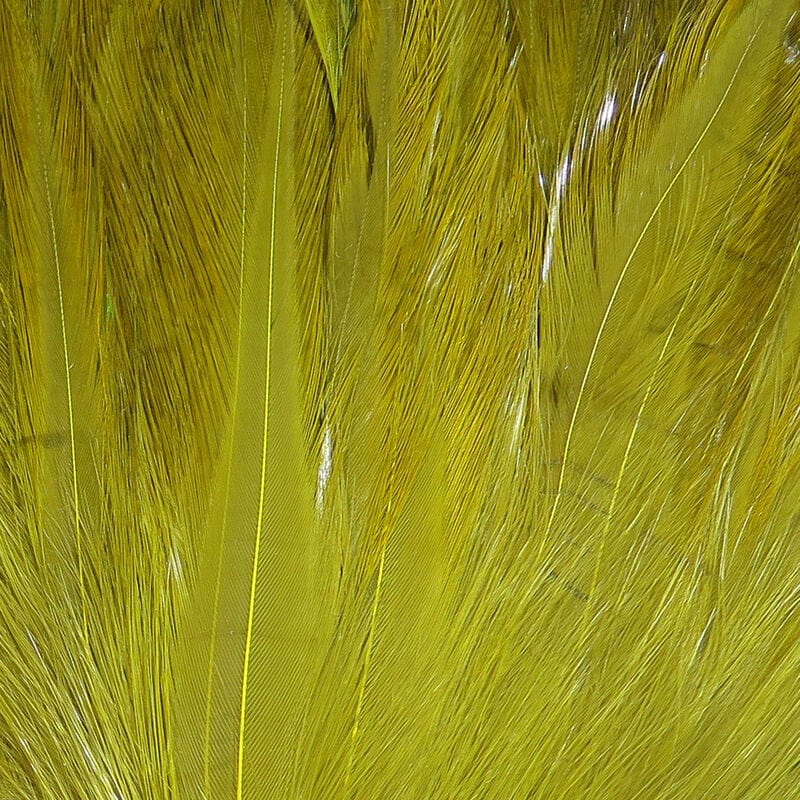 Saltwater Neck Hackle Olive