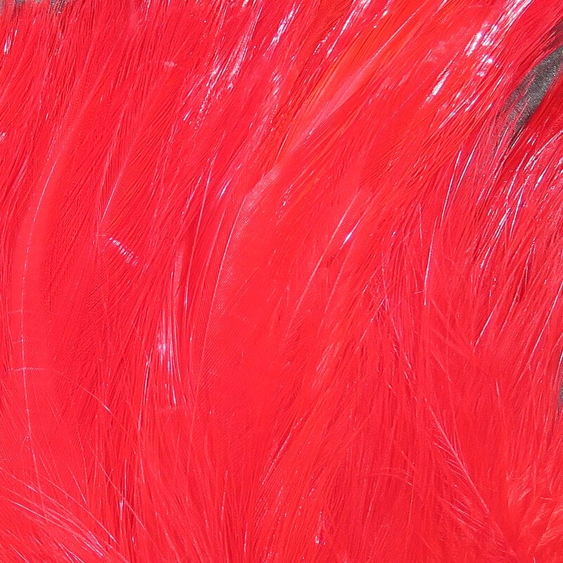 Saltwater Neck Hackle Red