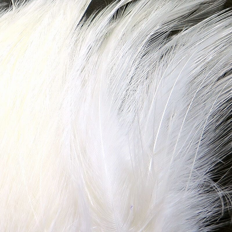 Saltwater Neck Hackle White