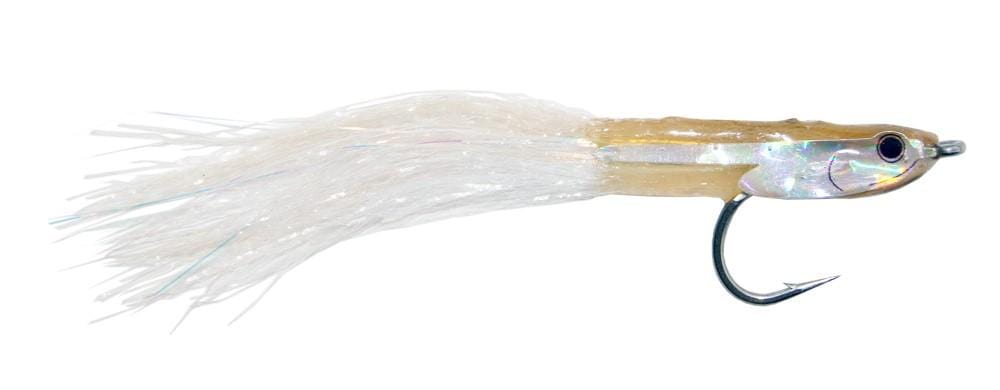 Popovic&#39;s Fleye Bay Anchovy #2