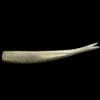 No Live Bait Needed 8&quot; Straight Tail Hell Yeah Butter