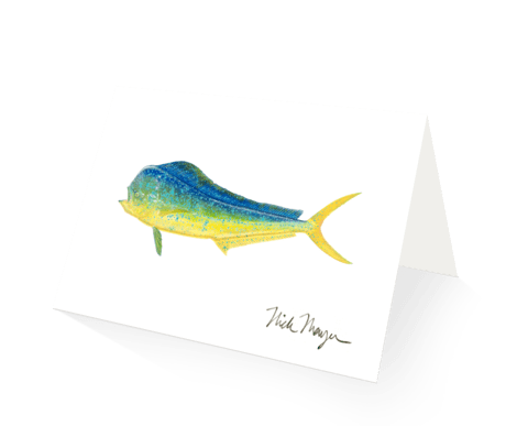 Nick Mayer Note Cards Bonito