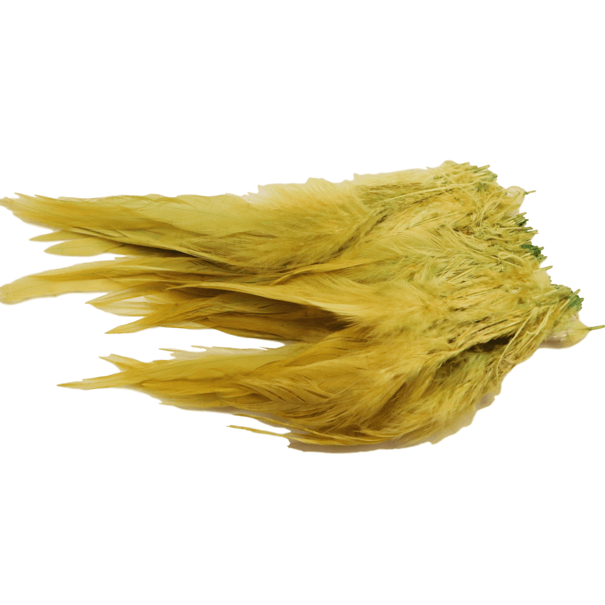 Dyed over White Strung Chinese Saddle Hackle 1/4 oz / Light Olive