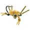 Contraband Crab #4 - Tan