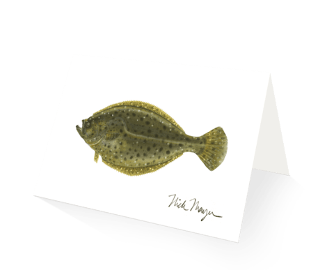 Nick Mayer Note Cards Fluke