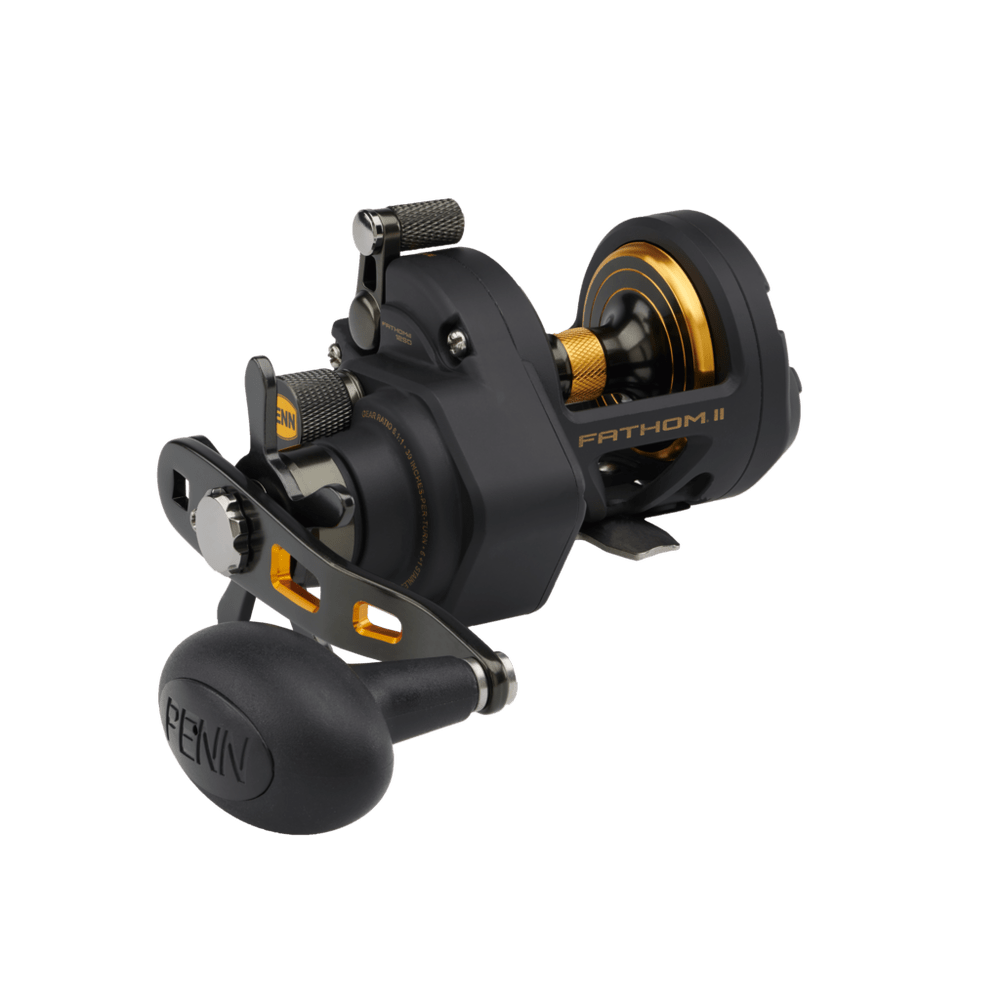 Penn Fathom II Star Drag Conventional Reels FTHII8XNSD
