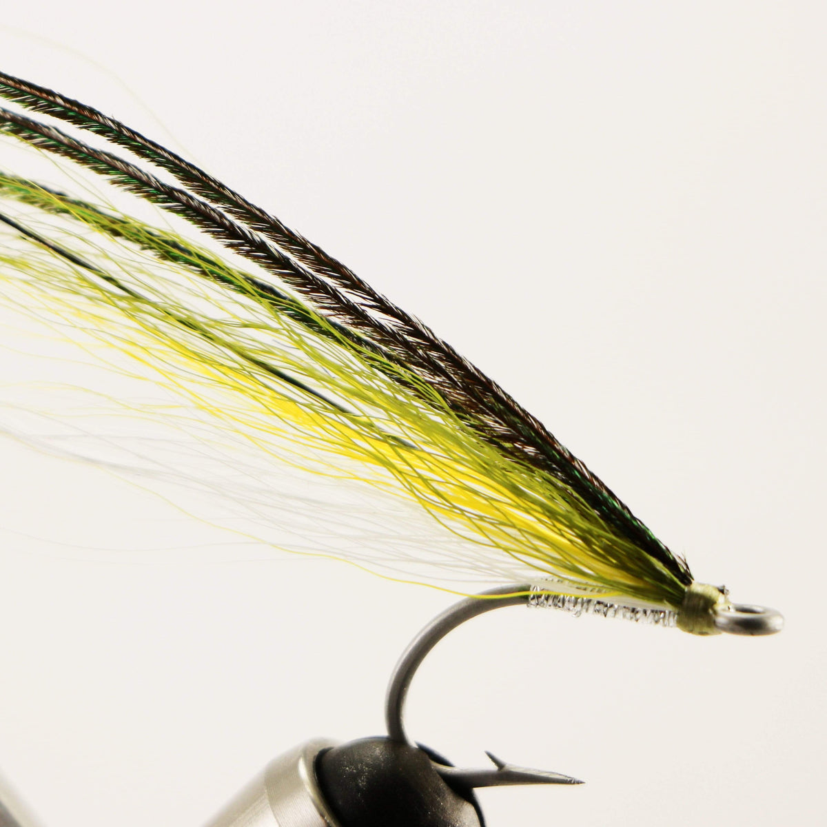 Ray&#39;s Fly