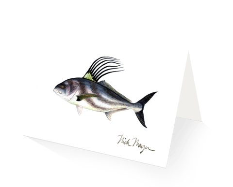 Nick Mayer Note Cards