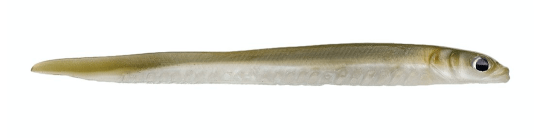 Hogy Sand Eel Soft Baits 7" - Dark Sand Eel