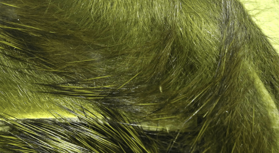 Rabbit Strips Olive Variant