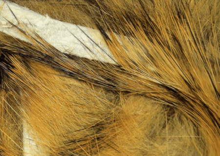 Rabbit Strips Sand Variant