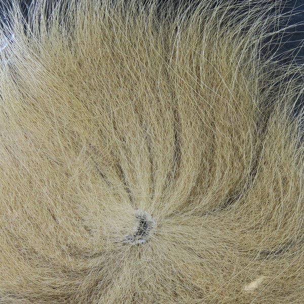Arctic Fox Body Hair Tan