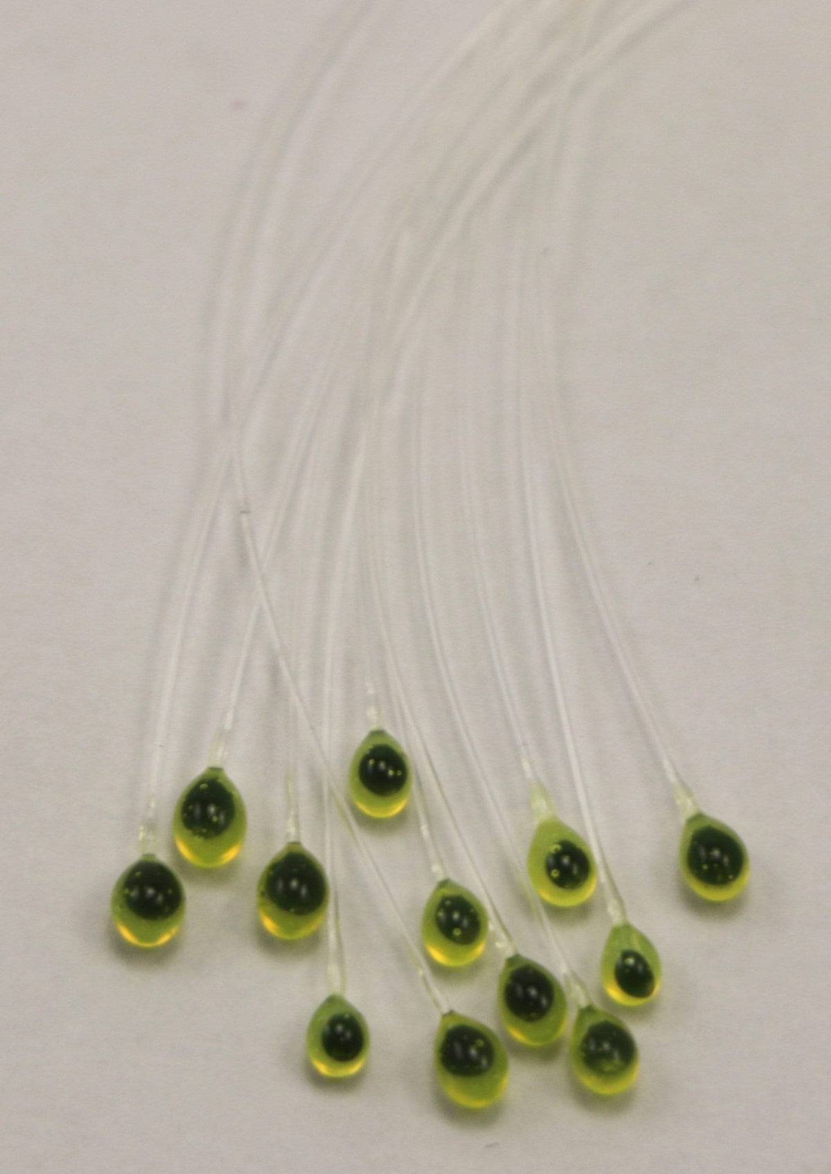 Epoxy Mono Crab Eyes Yellow Transparent Black Pupil