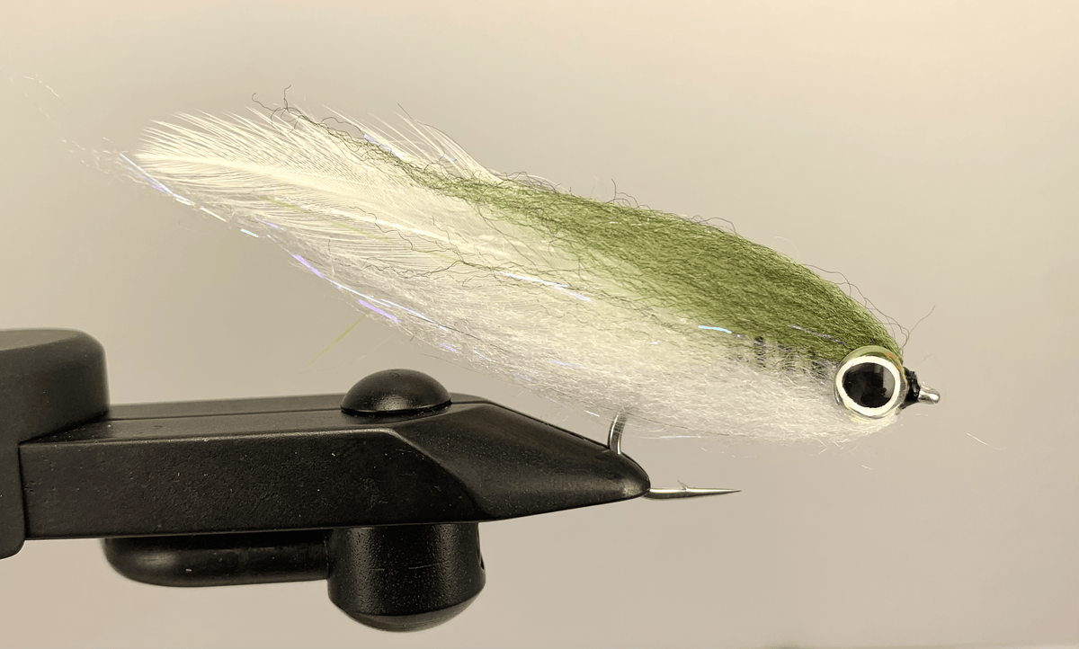 Strolis Simple Baitfish Olive White
