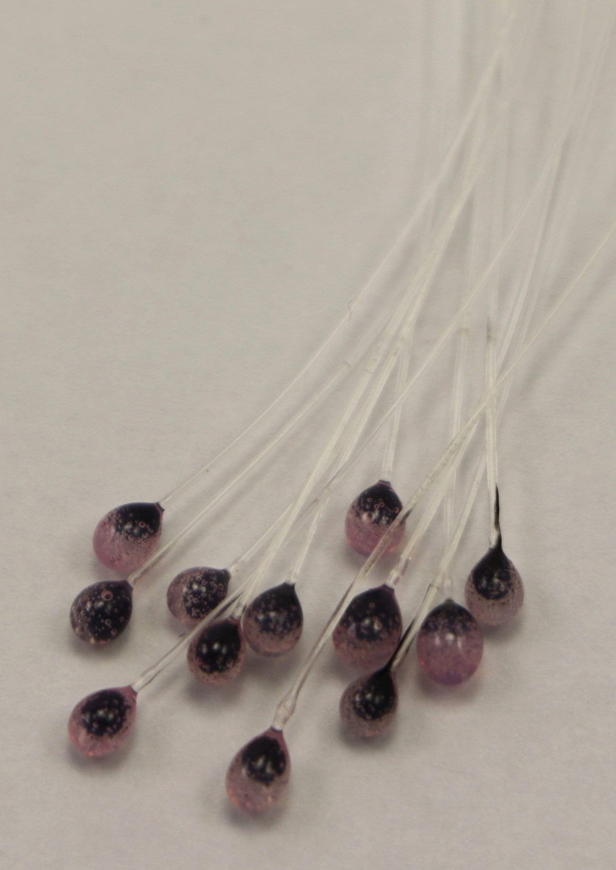 Epoxy Mono Crab Eyes Shrimp Pink Transparent Black Pupil