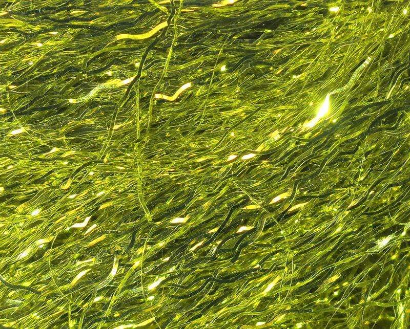 Ripple Ice Fiber Light Olive