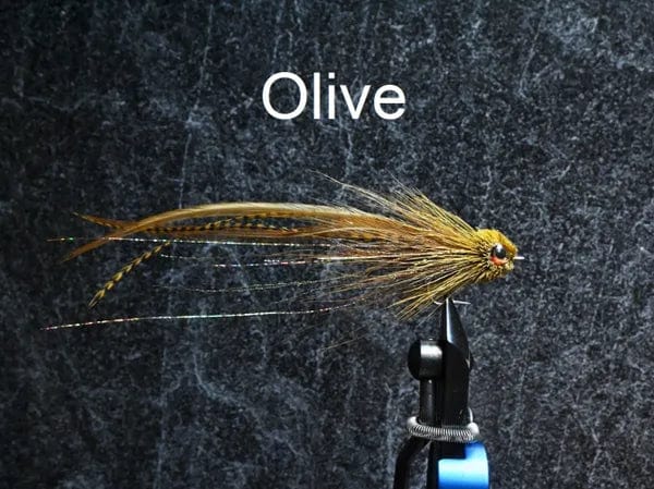 Striper Dragon