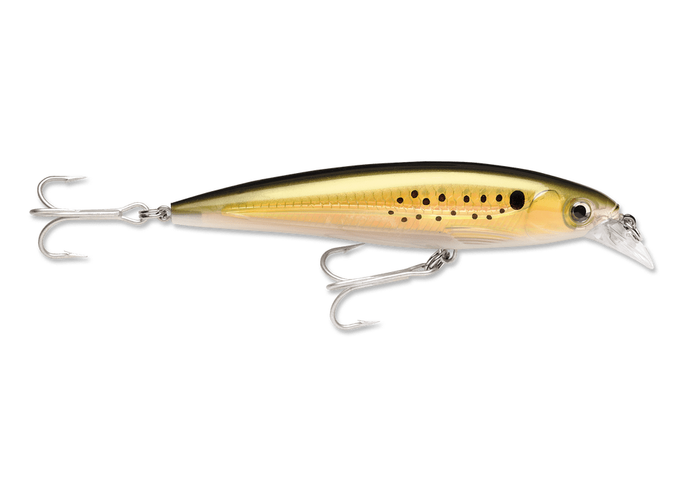 RAPALA SALTWATER X-RAP 5 1/2 / Bunker